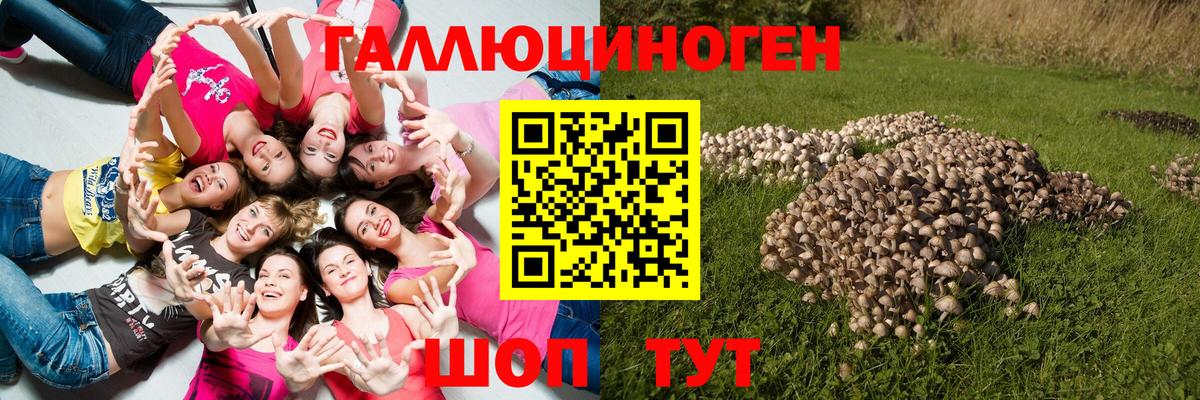 Дзержинский  Псилоцибиновые грибы Psilocybe  Вход с VPN 