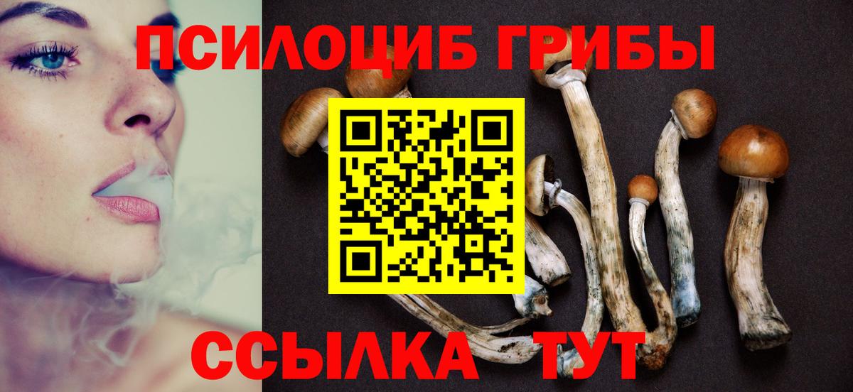 Псилоцибиновые грибы Cubensis Дзержинский